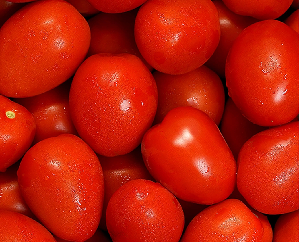 img-smart-farming